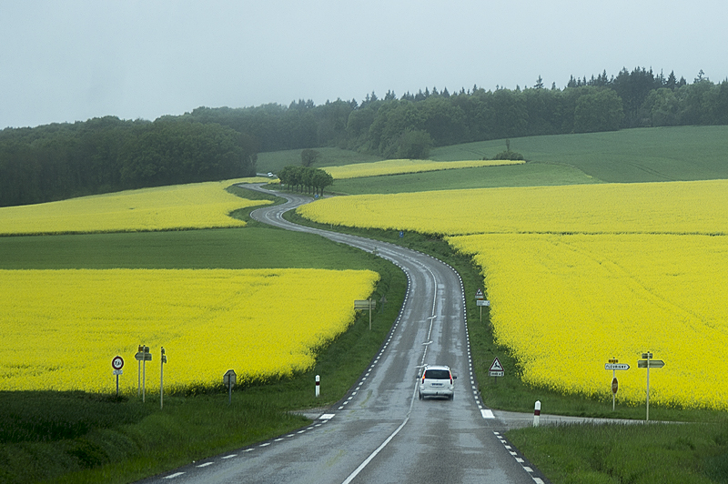 Tour Loire 05 - 201520150503_05034813 als Smartobjekt-1 Kopie.jpg - Weiter in Richtung Briare. Die schönen Rapsfelder kommen bei dem Regen gar nicht so richtig zur Geltung